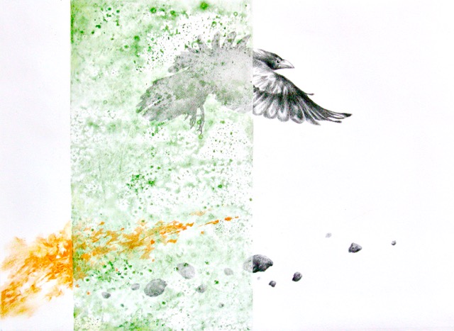 kleine kraai 2018 57x40